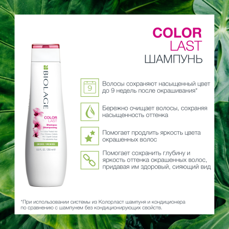 Matrix Biolage COLORLAST шампунь д/волос 250 мл {12} - фото