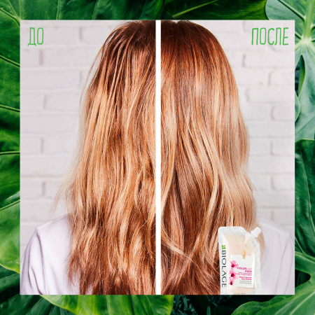 Matrix Biolage COLORLAST маска для волос 100 мл {12} - фото