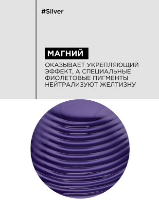 LP Сильвер шампунь д/волос 750 мл NEW {6} - фото