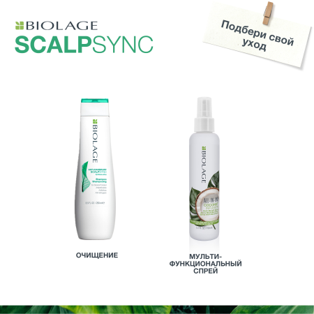 Matrix Biolage SCALPSYNC шампунь д/волос 250 мл против перхоти {12} - фото