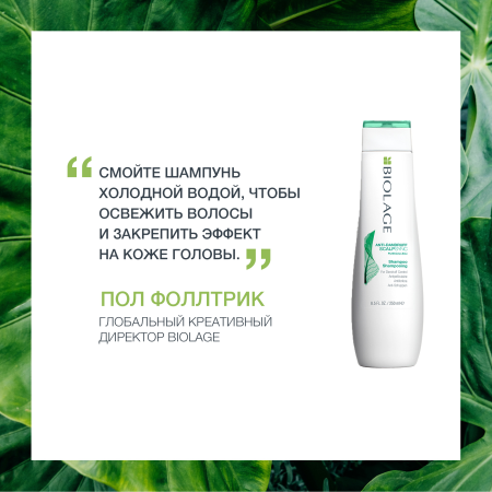Matrix Biolage SCALPSYNC шампунь д/волос 250 мл против перхоти {12} - фото