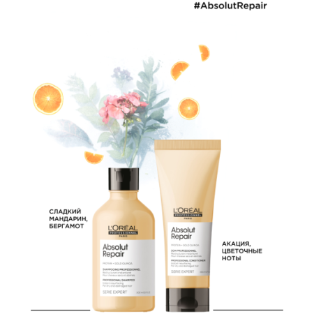 LP Абсолют набор НГ {4} - фото