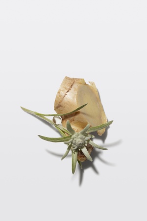 Kerastase дженезис маска для волос 200 мл Реконституант {6} - фото