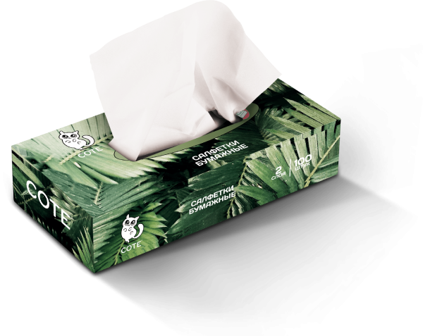Cote салфетки косметические 100 шт Пальмы 2 слоя V-сложение {35} - фото