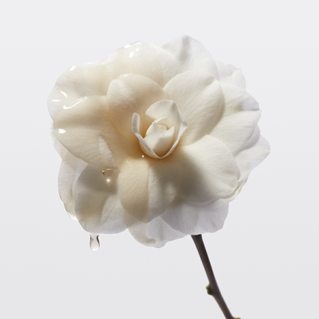 Kerastase КЕРЛ крем-гель д/волос 150 мл NEW {12} - фото