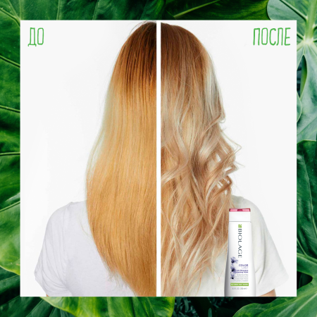 Matrix Biolage COLORLAST шампунь д/волос 250 мл фиолетовый {12} - фото