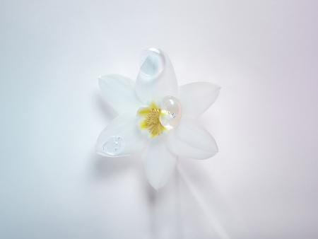 Kerastase Блонд Абсолю молочко д/волос проф. 250 мл {6} - фото