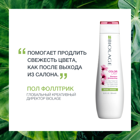 Matrix Biolage COLORLAST шампунь д/волос 250 мл {12} - фото